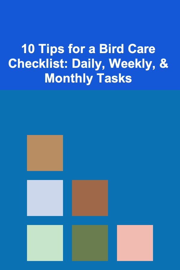 10 Tips for a Bird Care Checklist: Daily, Weekly, & Monthly Tasks