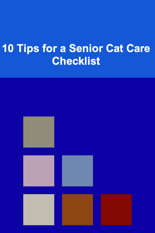 10 Tips for a Senior Cat Care Checklist