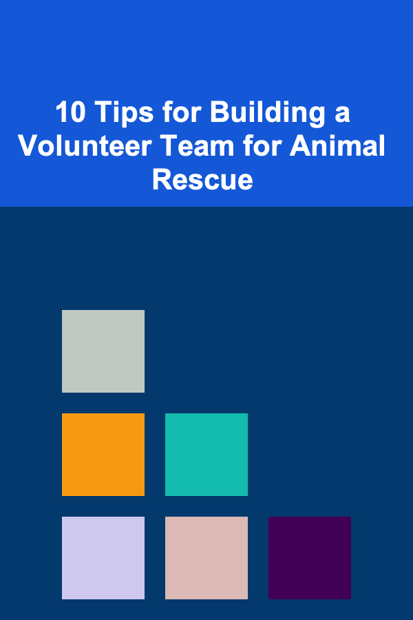 10 Tips for Building a Volunteer Team for Animal Rescue