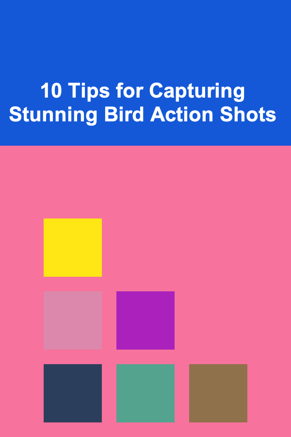 10 Tips for Capturing Stunning Bird Action Shots