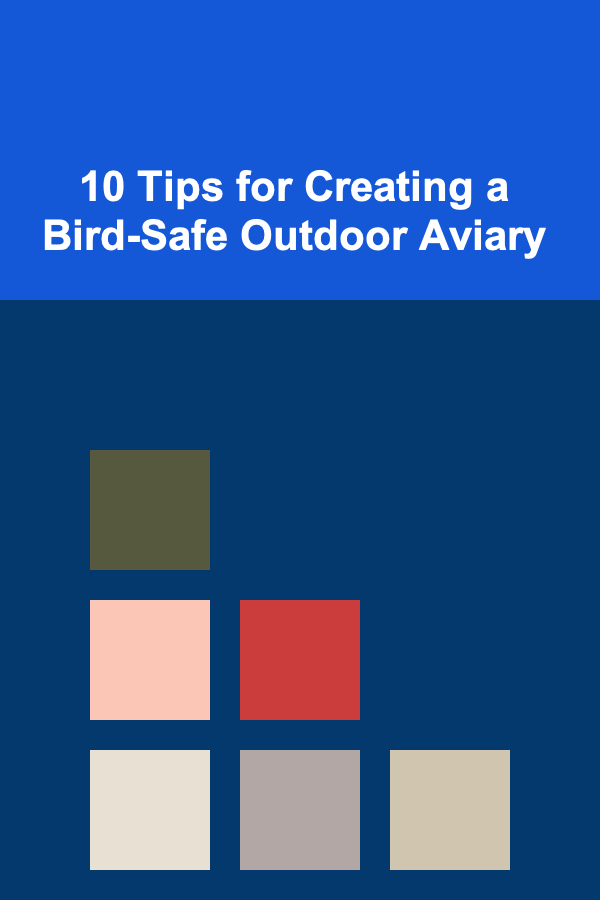 10 Tips for Creating a Bird-Safe Outdoor Aviary