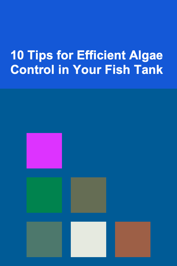 10 Tips for Efficient Algae Control in Your Fish Tank