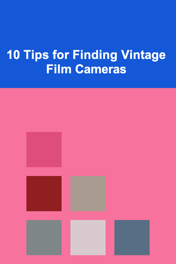 10 Tips for Finding Vintage Film Cameras