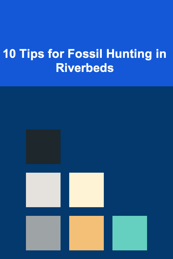 10 Tips for Fossil Hunting in Riverbeds