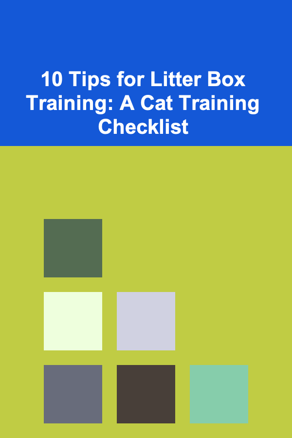10 Tips for Litter Box Training: A Cat Training Checklist