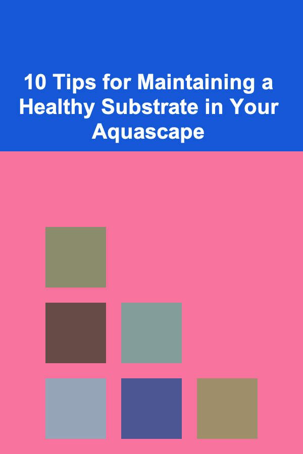 10 Tips for Maintaining a Healthy Substrate in Your Aquascape