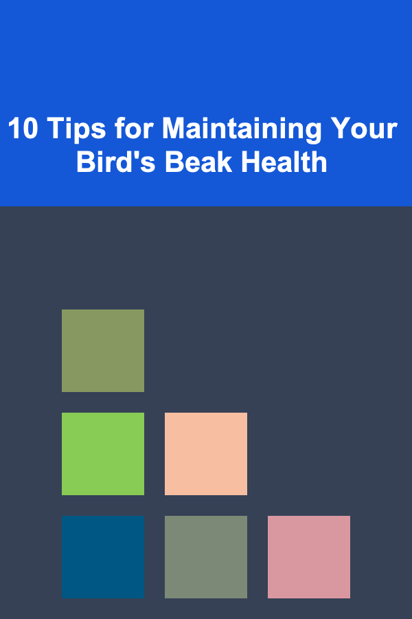 10 Tips for Maintaining Your Bird's Beak Health