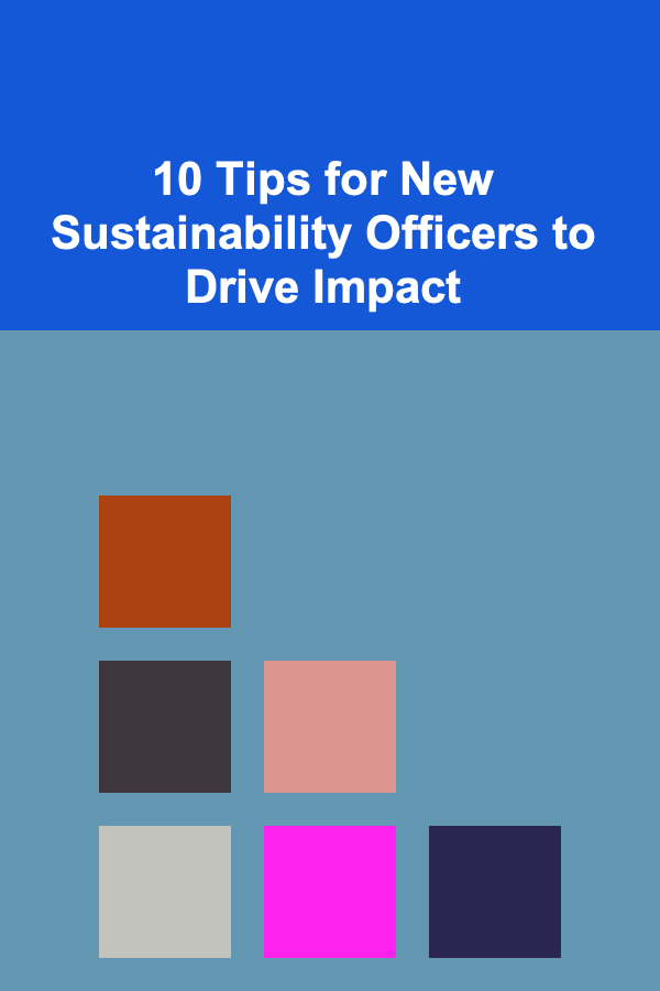 10 Tips for New Sustainability Officers to Drive Impact