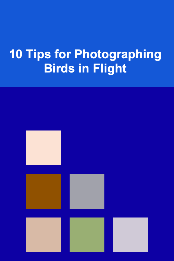 10 Tips for Photographing Birds in Flight
