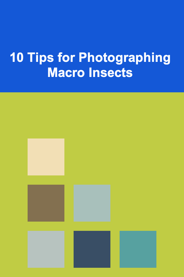 10 Tips for Photographing Macro Insects