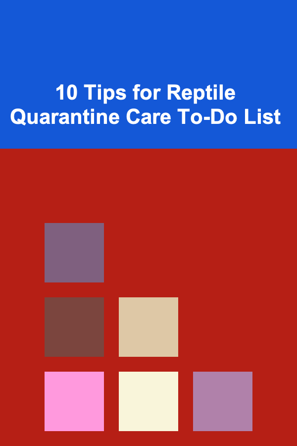 10 Tips for Reptile Quarantine Care To-Do List