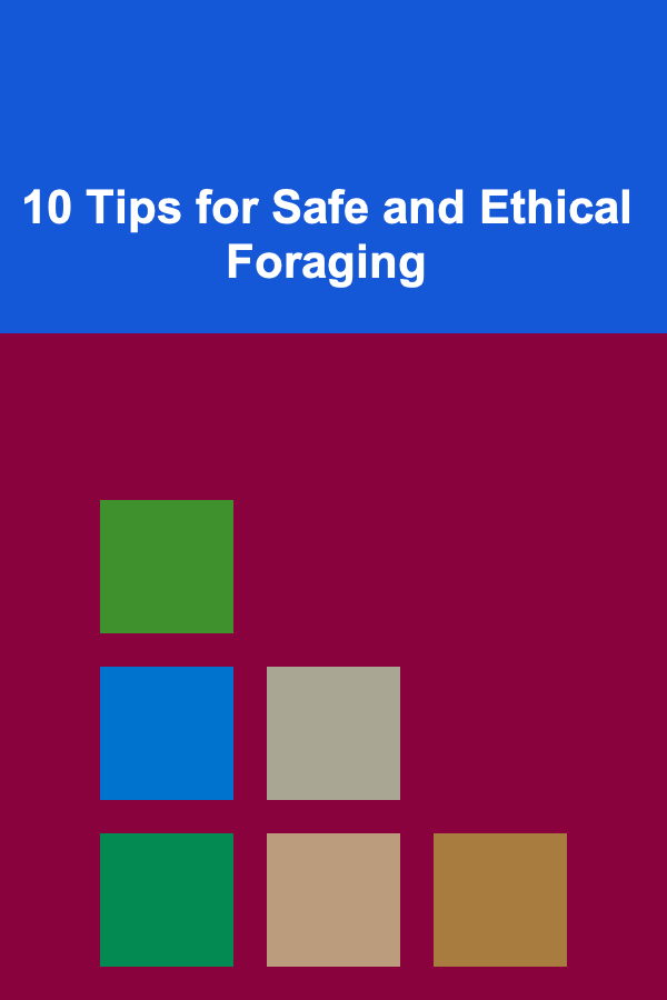 10 Tips for Safe and Ethical Foraging
