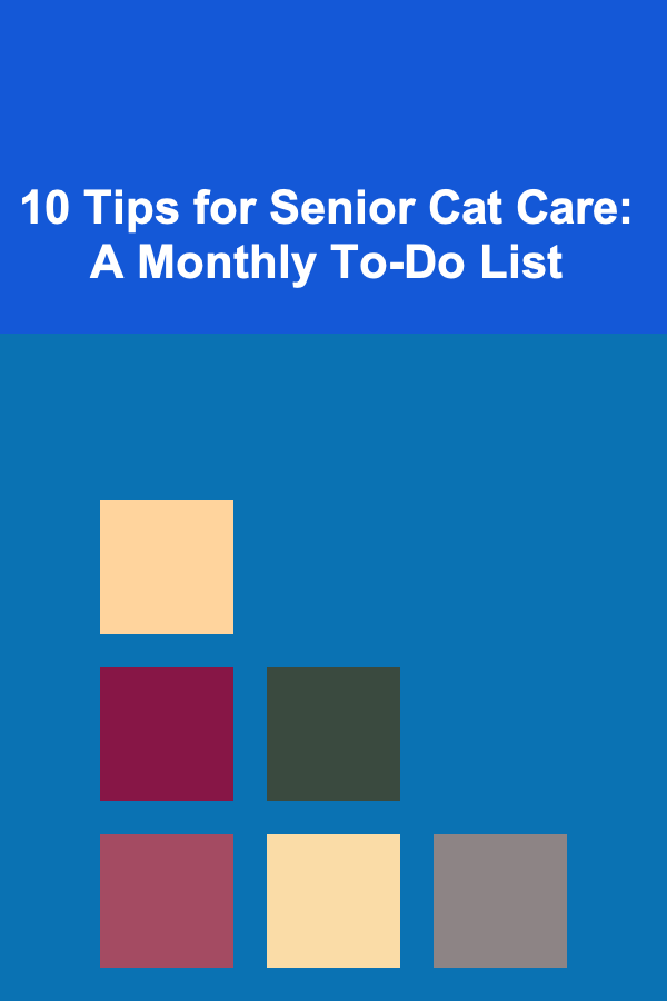 10 Tips for Senior Cat Care: A Monthly To-Do List