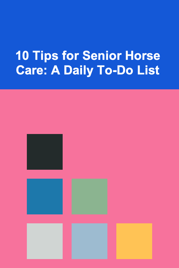 10 Tips for Senior Horse Care: A Daily To-Do List
