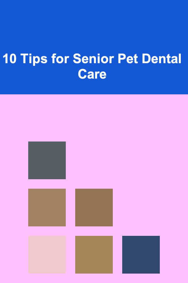 10 Tips for Senior Pet Dental Care