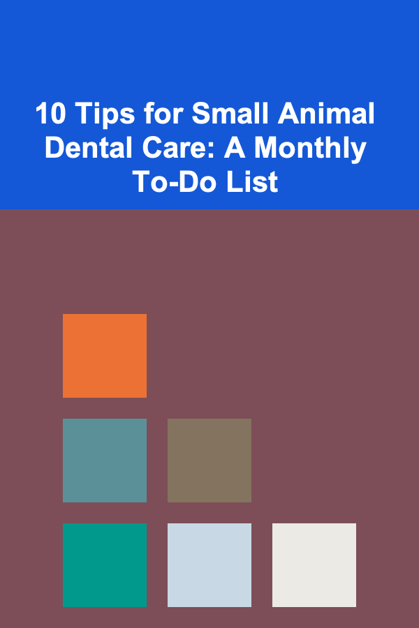 10 Tips for Small Animal Dental Care: A Monthly To-Do List