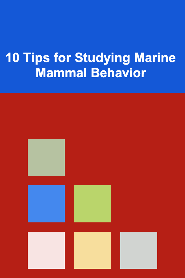 10 Tips for Studying Marine Mammal Behavior