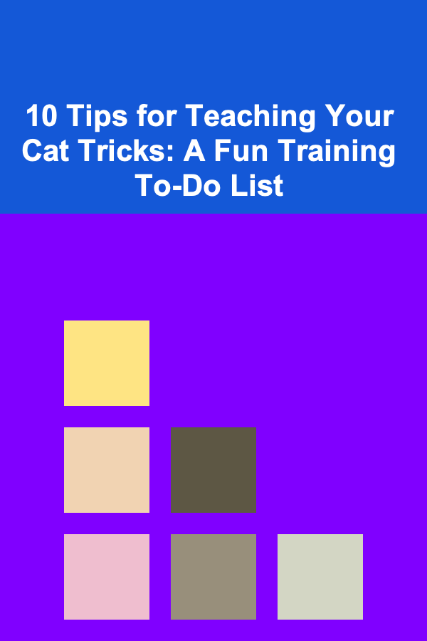 10 Tips for Teaching Your Cat Tricks: A Fun Training To-Do List
