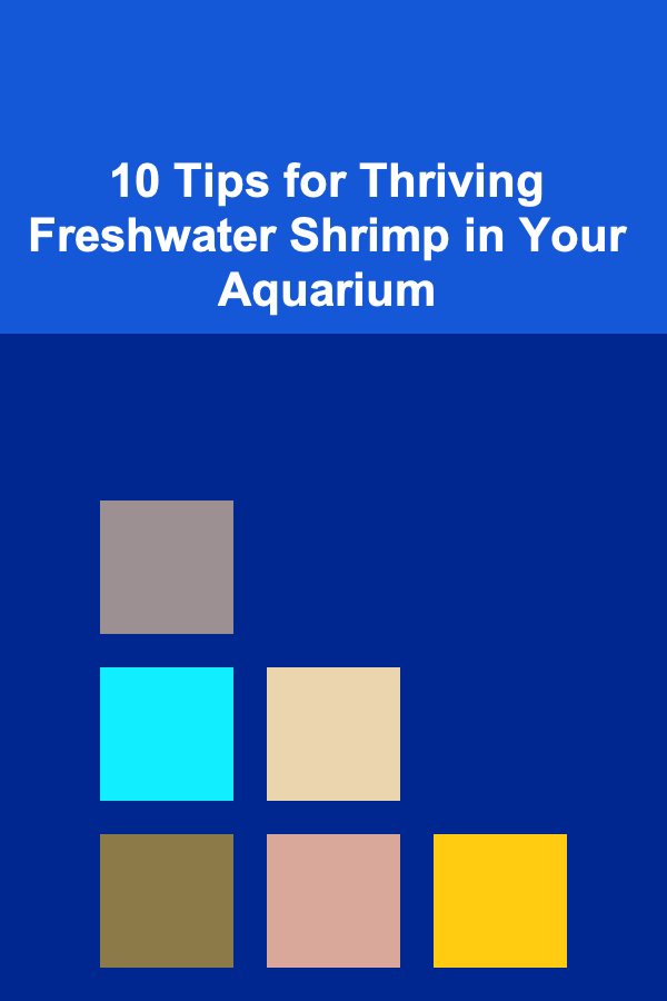 10 Tips for Thriving Freshwater Shrimp in Your Aquarium