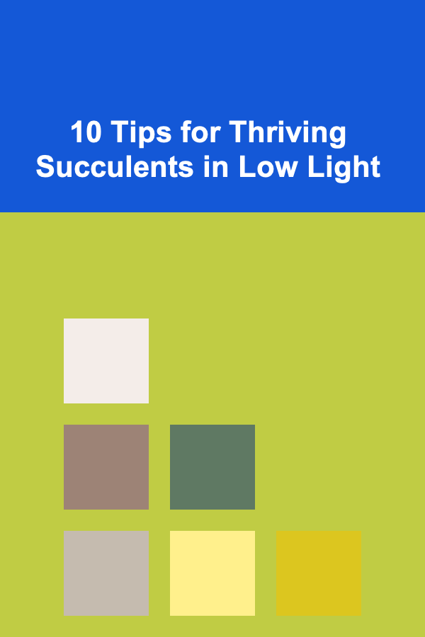 10 Tips for Thriving Succulents in Low Light