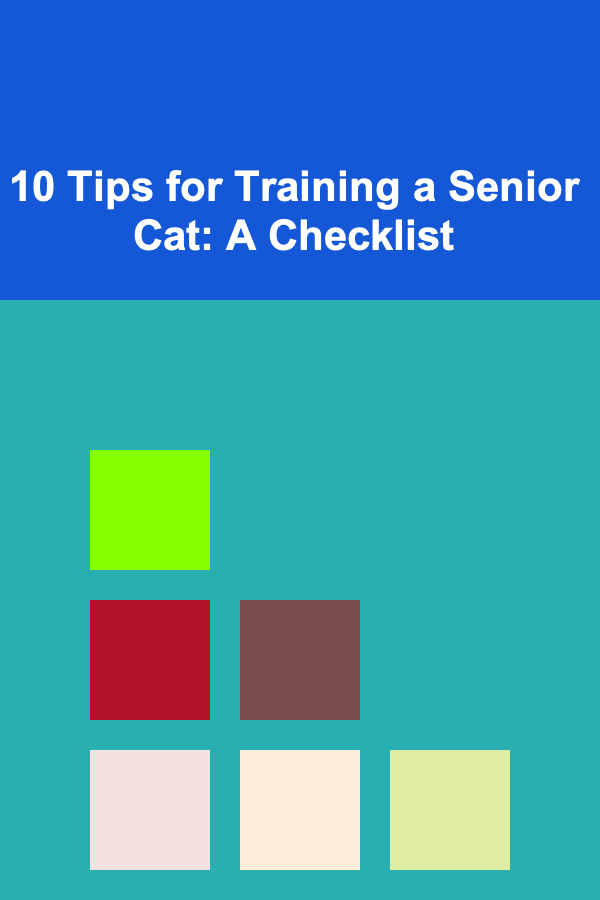10 Tips for Training a Senior Cat: A Checklist