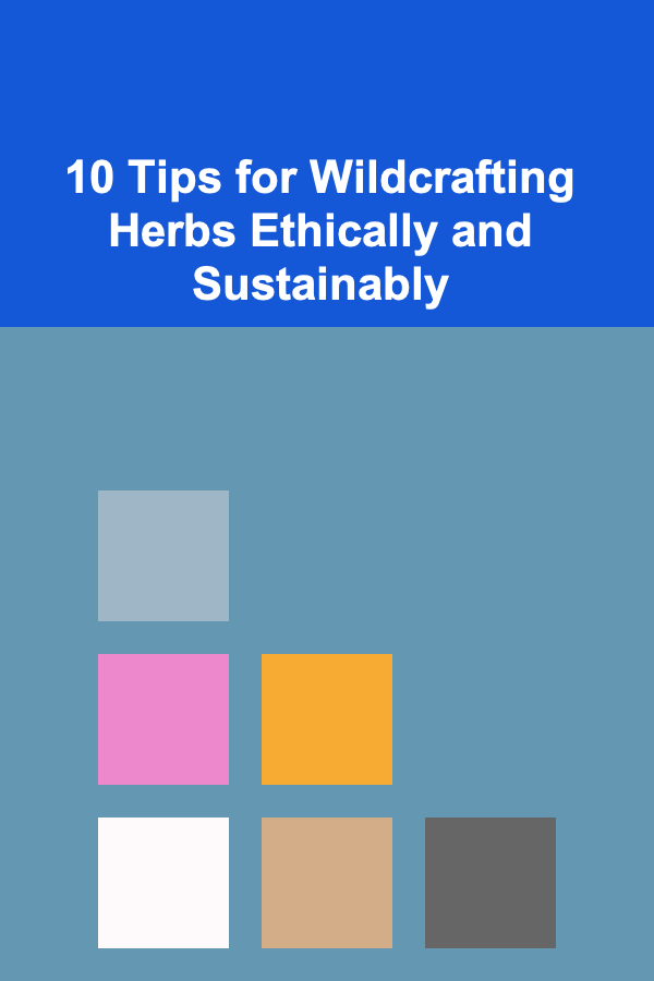 10 Tips for Wildcrafting Herbs Ethically and Sustainably