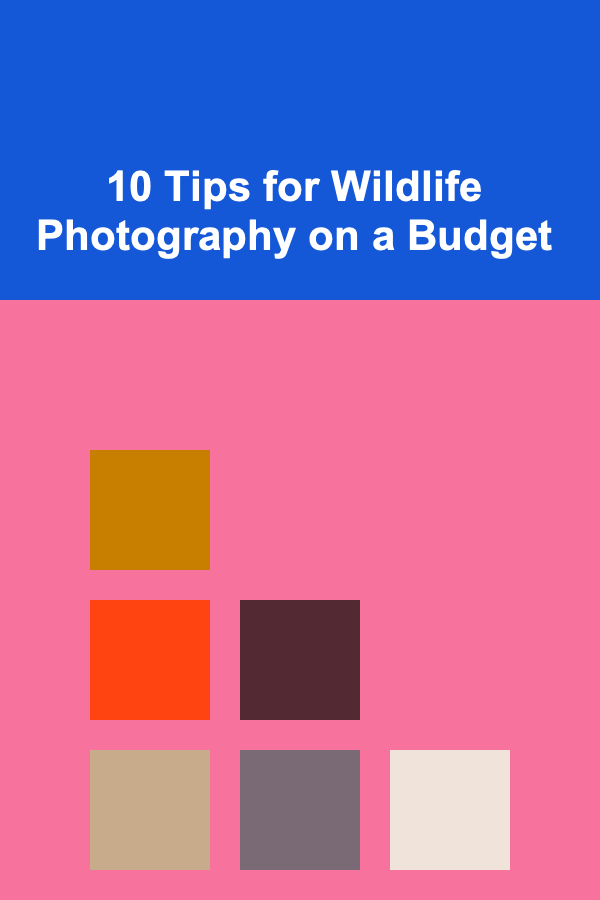 10 Tips for Wildlife Photography on a Budget