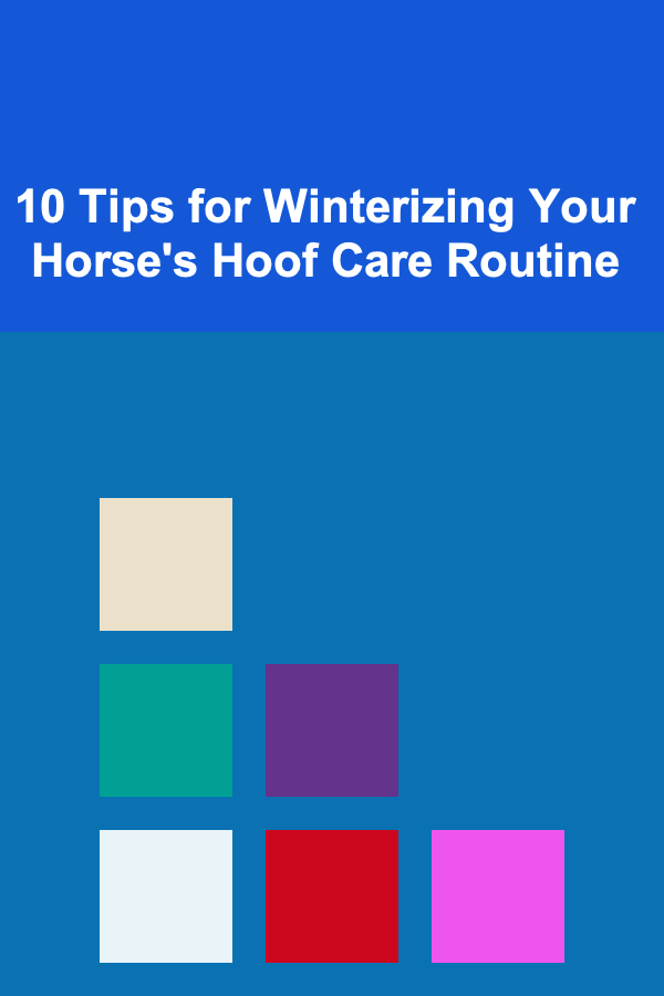 10 Tips for Winterizing Your Horse's Hoof Care Routine