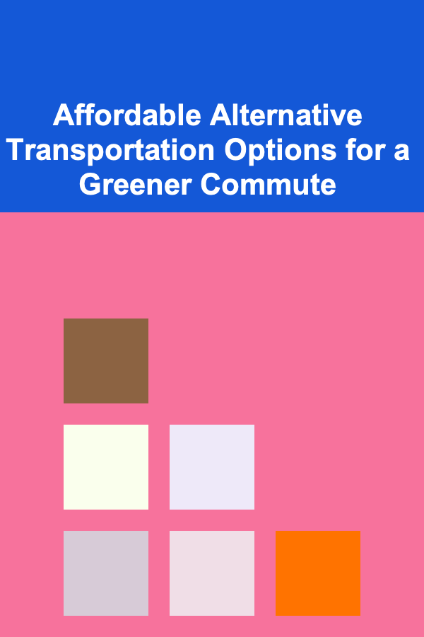 Affordable Alternative Transportation Options for a Greener Commute