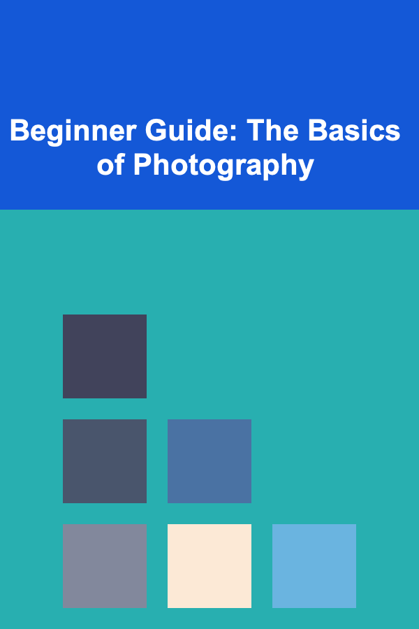 Beginner Guide: The Basics of Photography