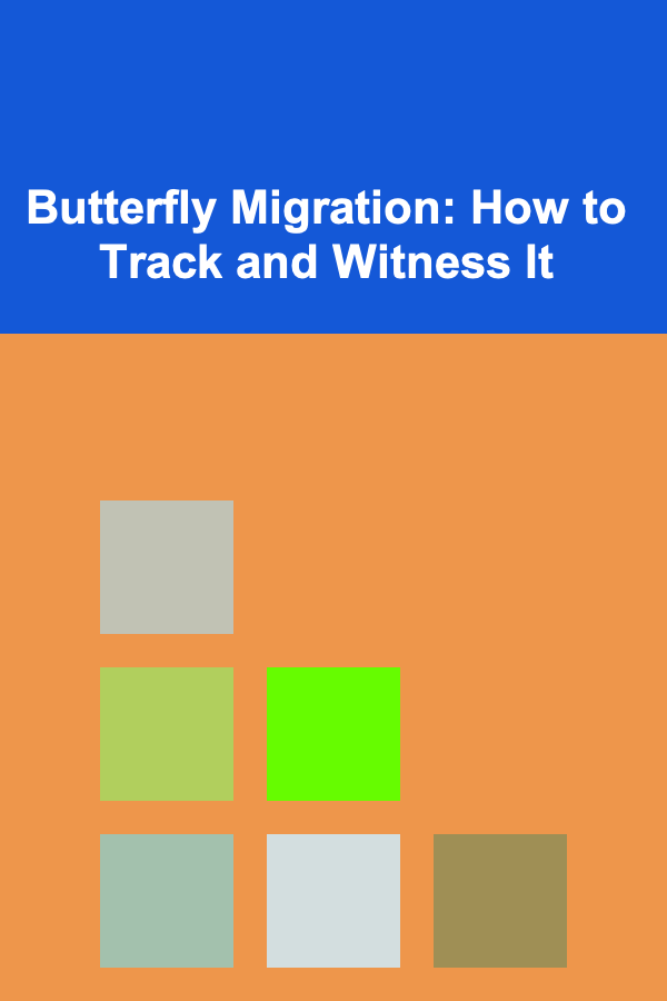 Butterfly Migration: How to Track and Witness It
