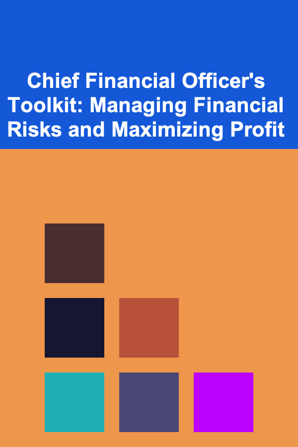Chief Financial Officer's Toolkit: Managing Financial Risks and Maximizing Profit