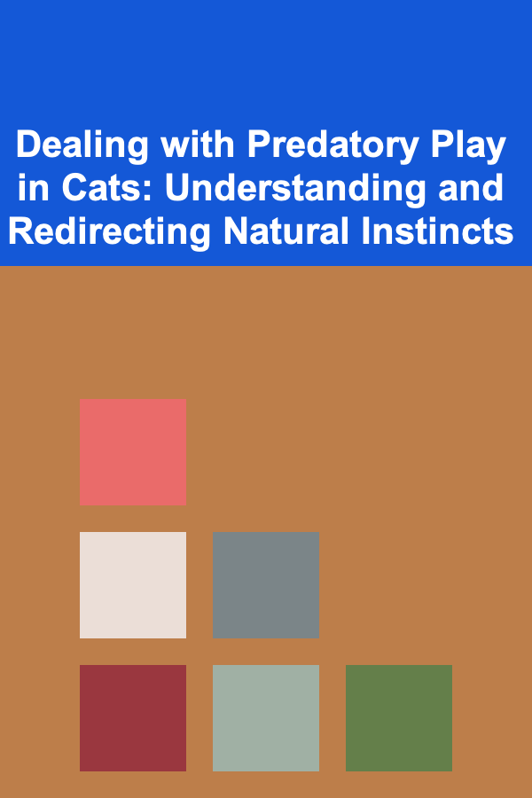 Dealing with Predatory Play in Cats: Understanding and Redirecting Natural Instincts