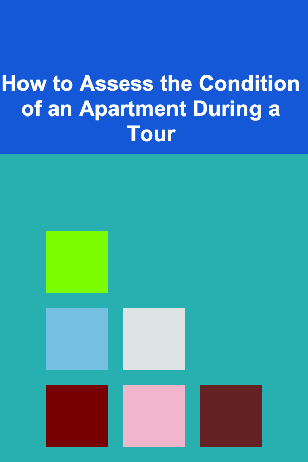 How to Assess the Condition of an Apartment During a Tour