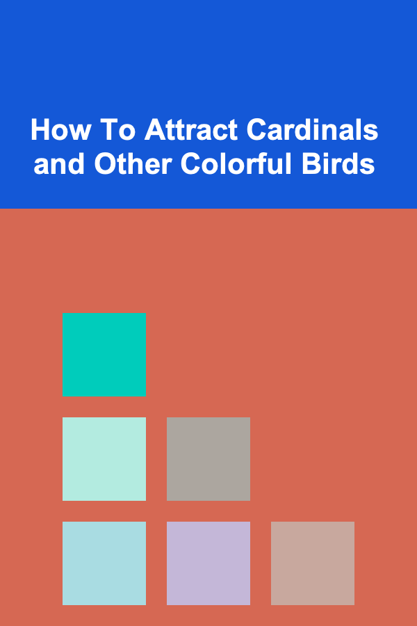 How To Attract Cardinals and Other Colorful Birds