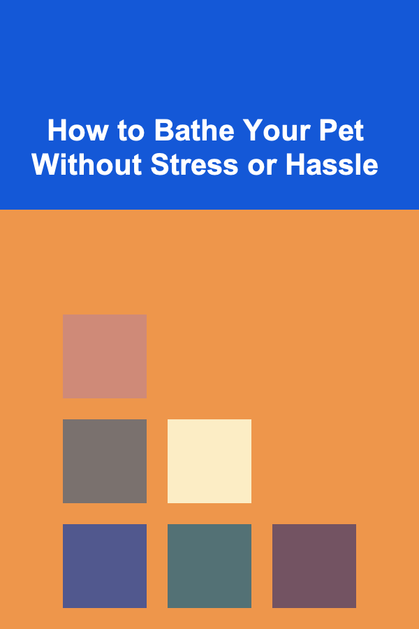How to Bathe Your Pet Without Stress or Hassle