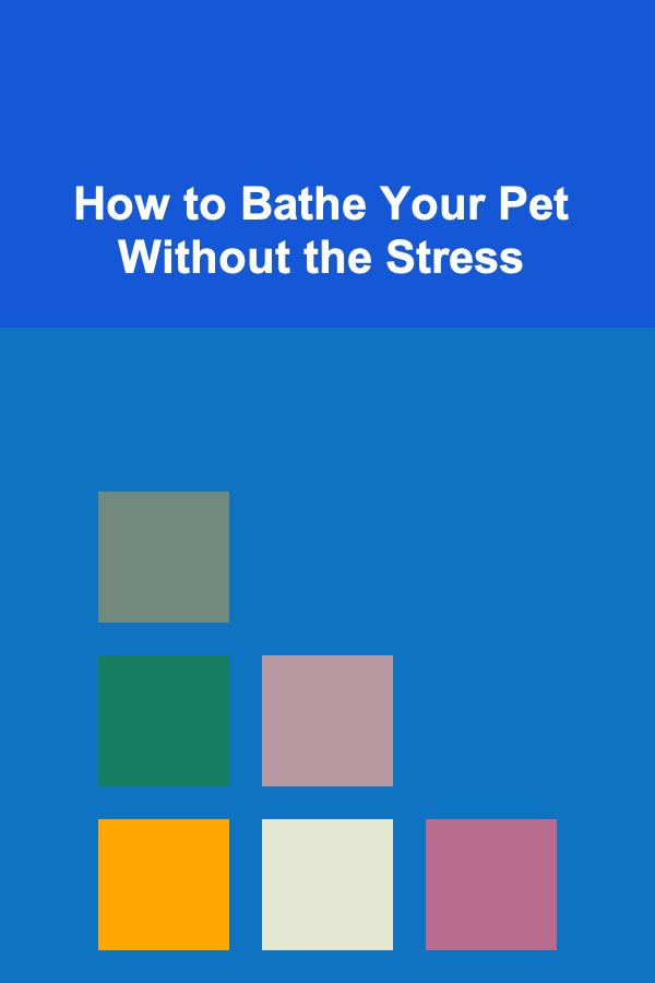 How to Bathe Your Pet Without the Stress