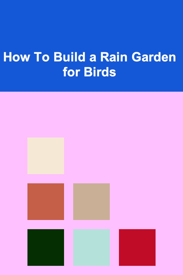 How To Build a Rain Garden for Birds
