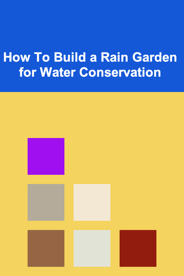 How To Build a Rain Garden for Water Conservation