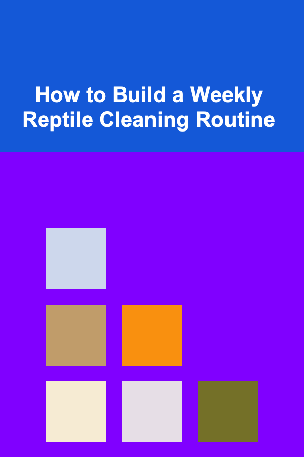 How to Build a Weekly Reptile Cleaning Routine