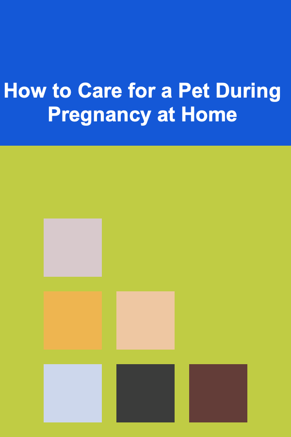 How to Care for a Pet During Pregnancy at Home