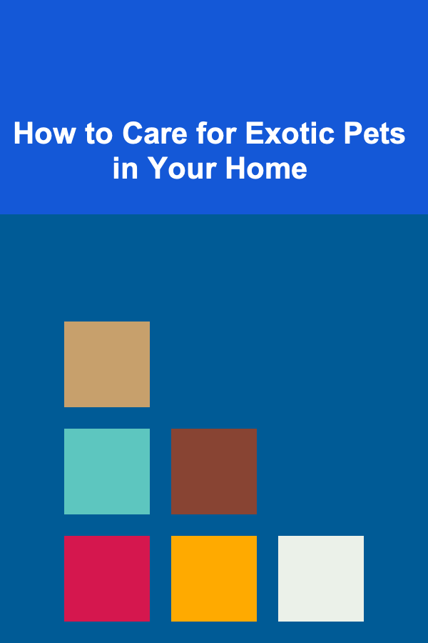 How to Care for Exotic Pets in Your Home