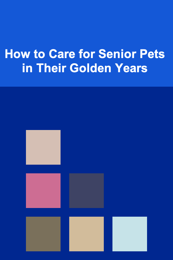 How to Care for Senior Pets in Their Golden Years