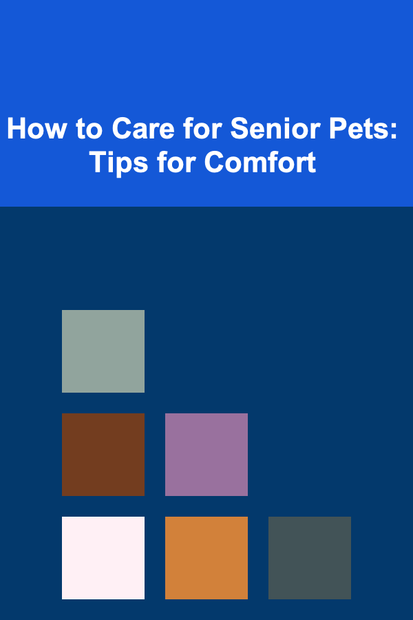 How to Care for Senior Pets: Tips for Comfort