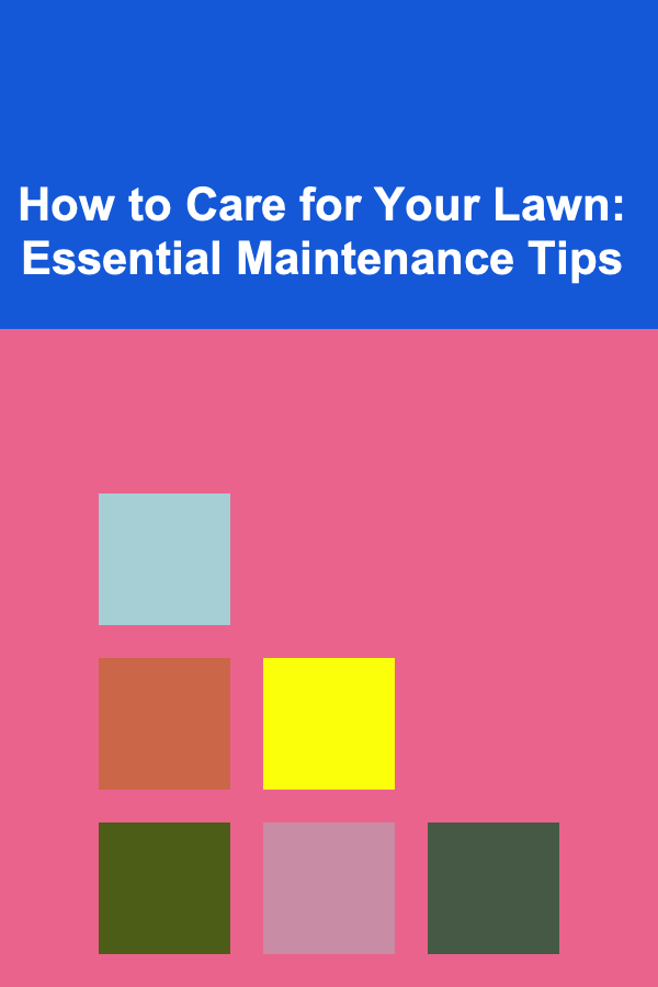 How to Care for Your Lawn: Essential Maintenance Tips