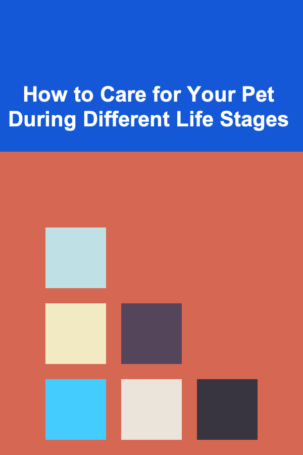 How to Care for Your Pet During Different Life Stages
