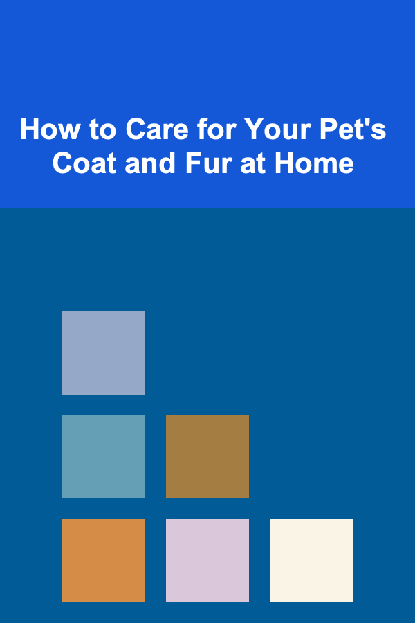 How to Care for Your Pet's Coat and Fur at Home