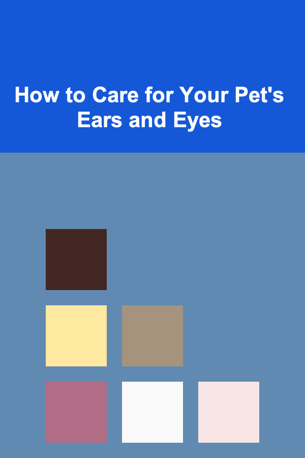 How to Care for Your Pet's Ears and Eyes