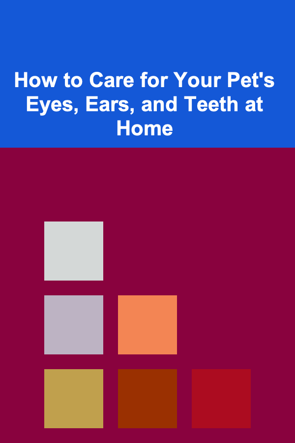 How to Care for Your Pet's Eyes, Ears, and Teeth at Home