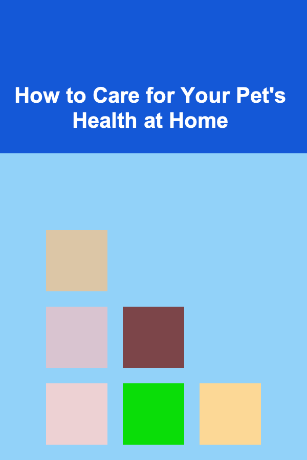 How to Care for Your Pet's Health at Home